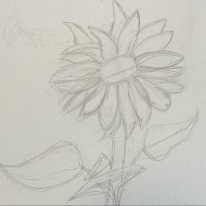 Meet your Posher, Amalie